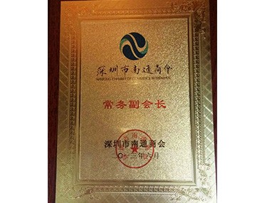 Executive Vice President